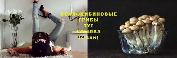 мет Армянск