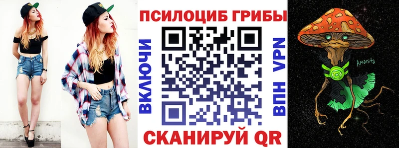 blacksprut ССЫЛКА  Слюдянка  Псилоцибиновые грибы Cubensis 